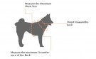 Hundesele & Kobbel, Lilla thumbnail
