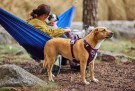Hurtta Weekend Warrior II Eco Sele, Eggplant thumbnail