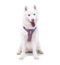 Woolly Wolf Alpha 360 Sele, Mauve Mix thumbnail
