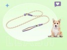 Retriever Kobbel, Gul thumbnail