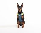 Woolly Wolf Alpha 360 Sele, Deep Teal Mix thumbnail