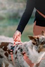 Woolly Wolf Roam Sele, Salmon Pink Ripple thumbnail