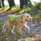 Hunter Waist Coat, Refleksvest, Gul thumbnail