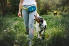 Woolly Wolf Alpha 360 Hip Pack, Deep Teal Mix thumbnail
