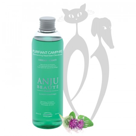 Anju Beauté Purifiant Camphre Shampoo, 500 ml
