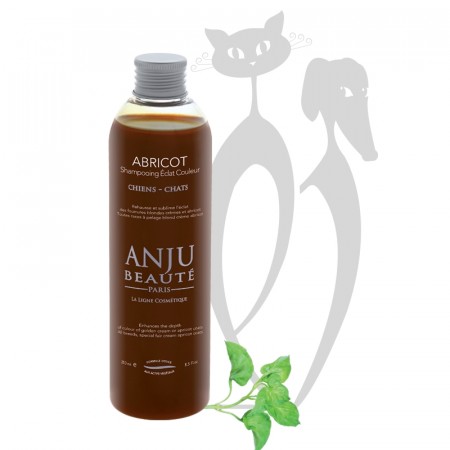 Anju Beauté Abricot Shampoo, 500 ml