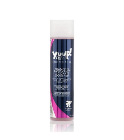 Yuup! PRO Black Revitalizing and Glossing Shampoo, 250 ml - EXP. dato 03.23