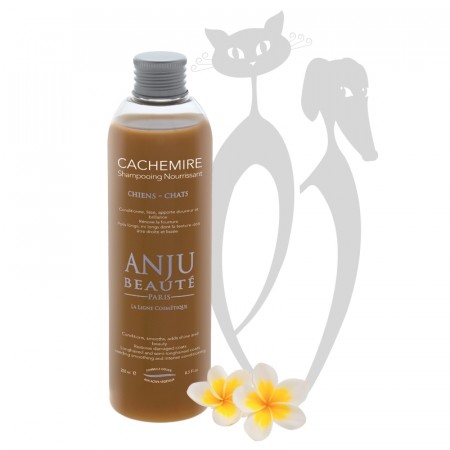 Anju Beauté
