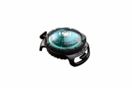 Orbiloc Dog Dual, Turkis